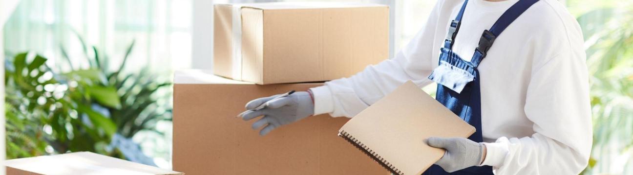 Spider Packers And Movers