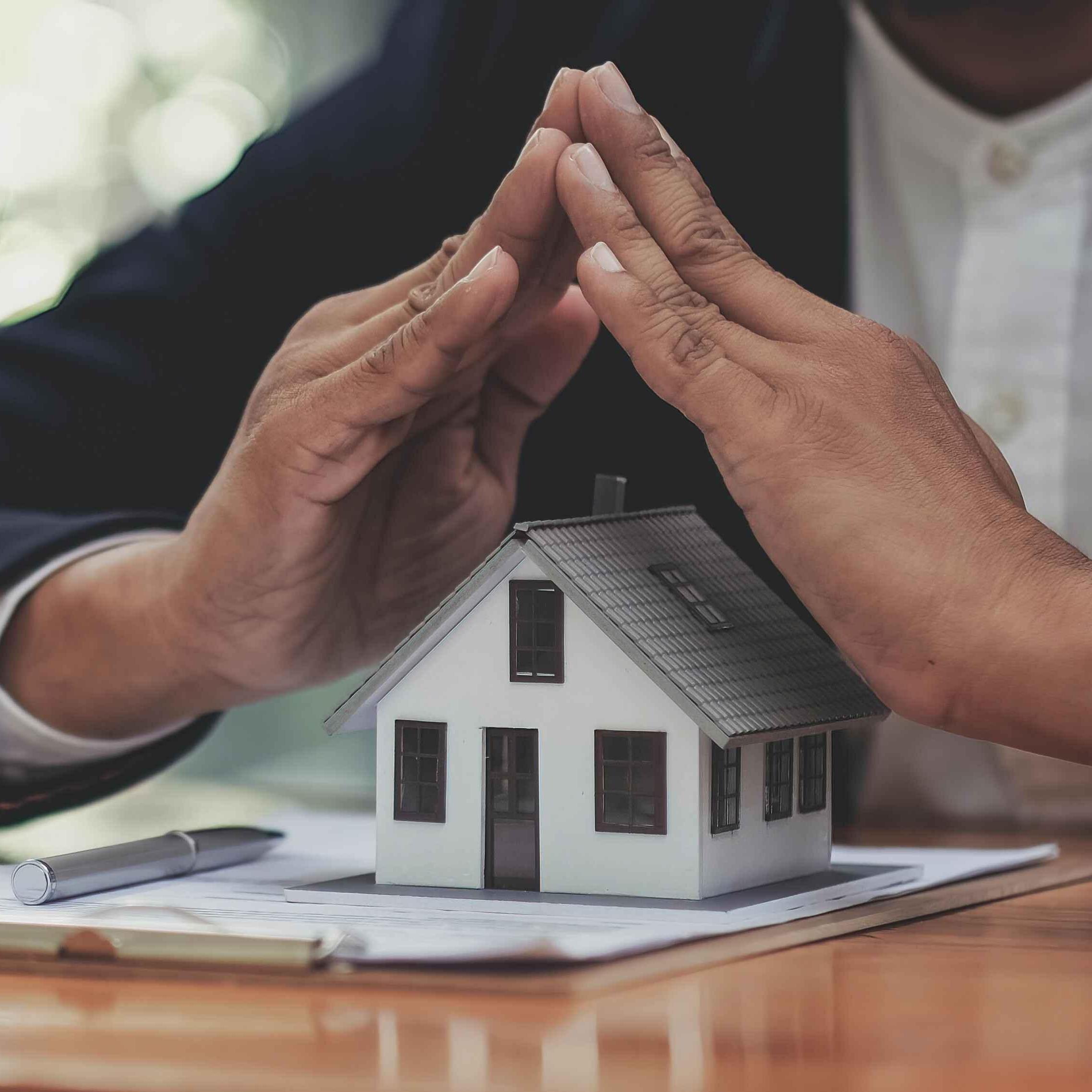 Legivista Endeavours