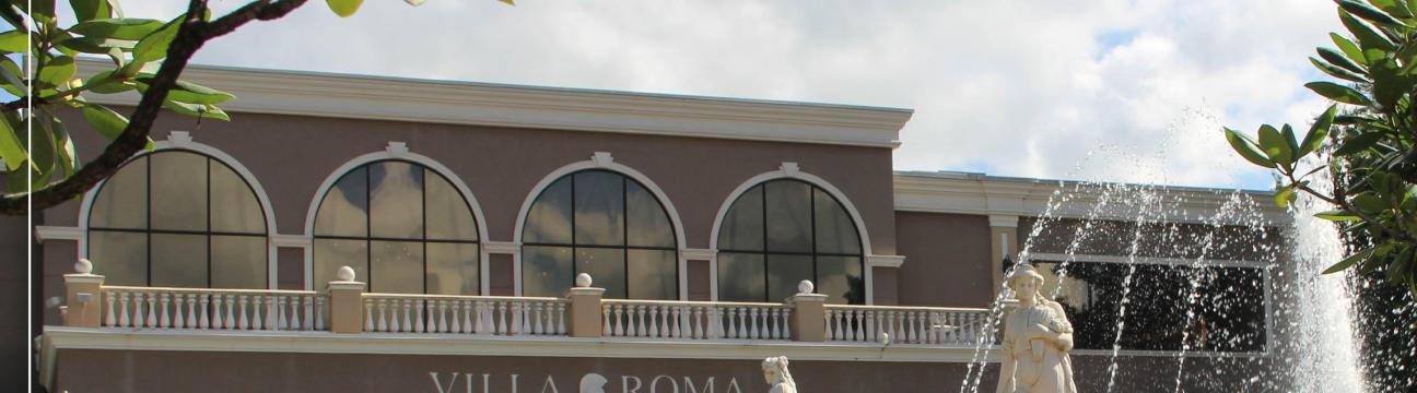 The Villa  Roma 