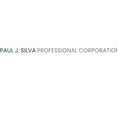Paul J Silva